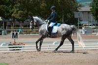 Tierfotografie mit Herz, Mensch & Tier im Fokus