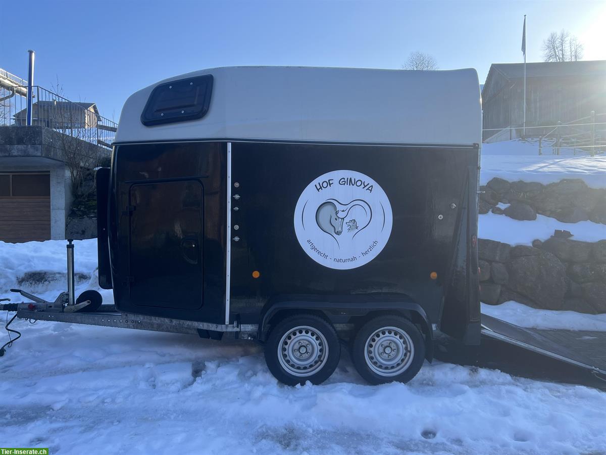 Bild 2: 2er Pferdeanhänger THIEL Domino Ultra zu verkaufen