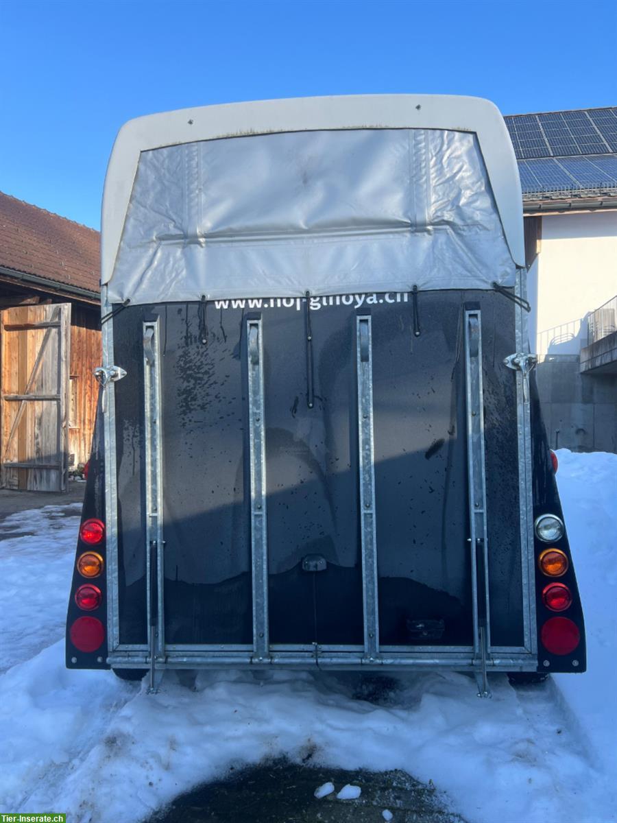 Bild 5: 2er Pferdeanhänger THIEL Domino Ultra zu verkaufen