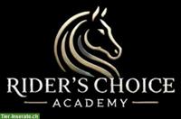 Natürlich durchs Jahr, Monatliche Kräuterbegleitung für Pferde