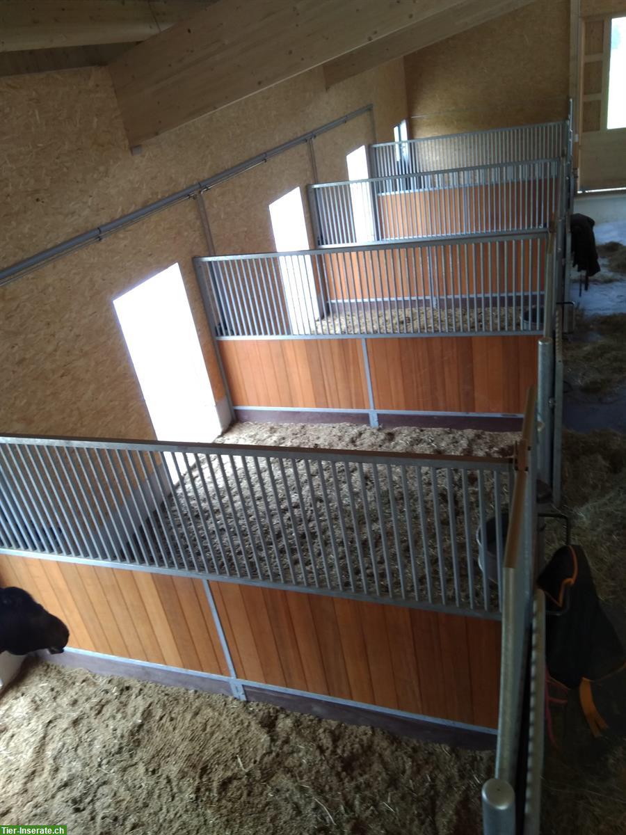 Bild 4: Pferde-Auslaufboxe zu vermieten, Freidorf TG