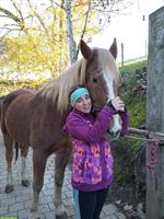 Biete Ferien-Betreuung für Haustiere