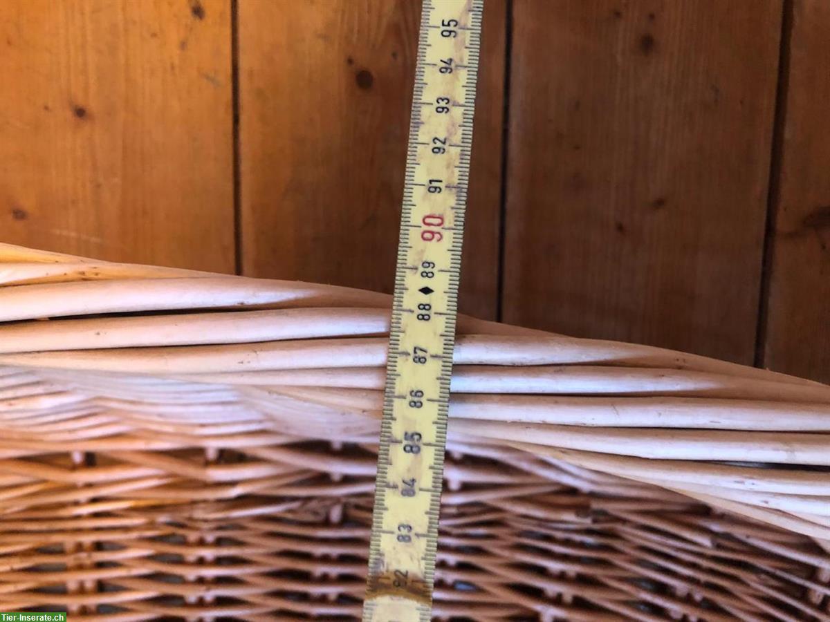 Bild 2: Hunde-Weidenkorb zu verkaufen