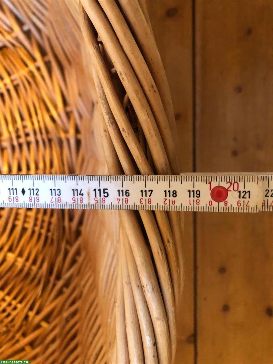 Bild 3: Hunde-Weidenkorb zu verkaufen