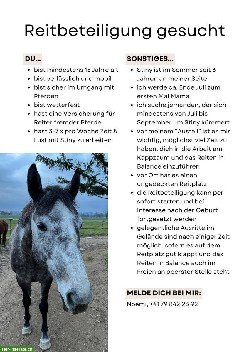 Bild 2: Pflege-/Reitbeteiligung für Juli-September (oder unbefristet), Balgach