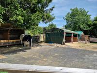 Offenstallplatz in Selbstversorgung, Bellach SO