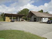 Freie Pferdebox mit Auslauf in Neerach ZH