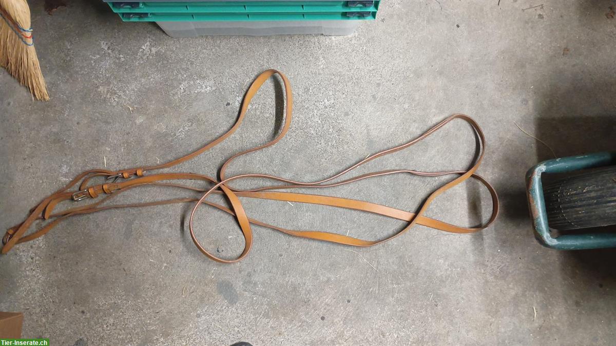 Bild 2: Sattelhalter, Kolagenpulver, Fahrhandschuhe XL & Fahrleinen