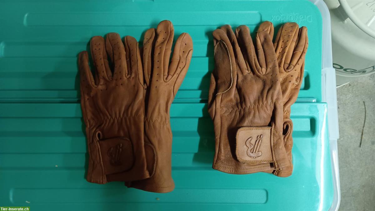 Bild 3: Sattelhalter, Kolagenpulver, Fahrhandschuhe XL & Fahrleinen