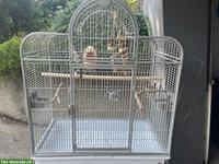 Vogelkäfig, neuwertig, mit Zubehör & Transportbox