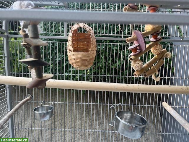 Bild 3: Vogelkäfig, neuwertig, mit Zubehör & Transportbox