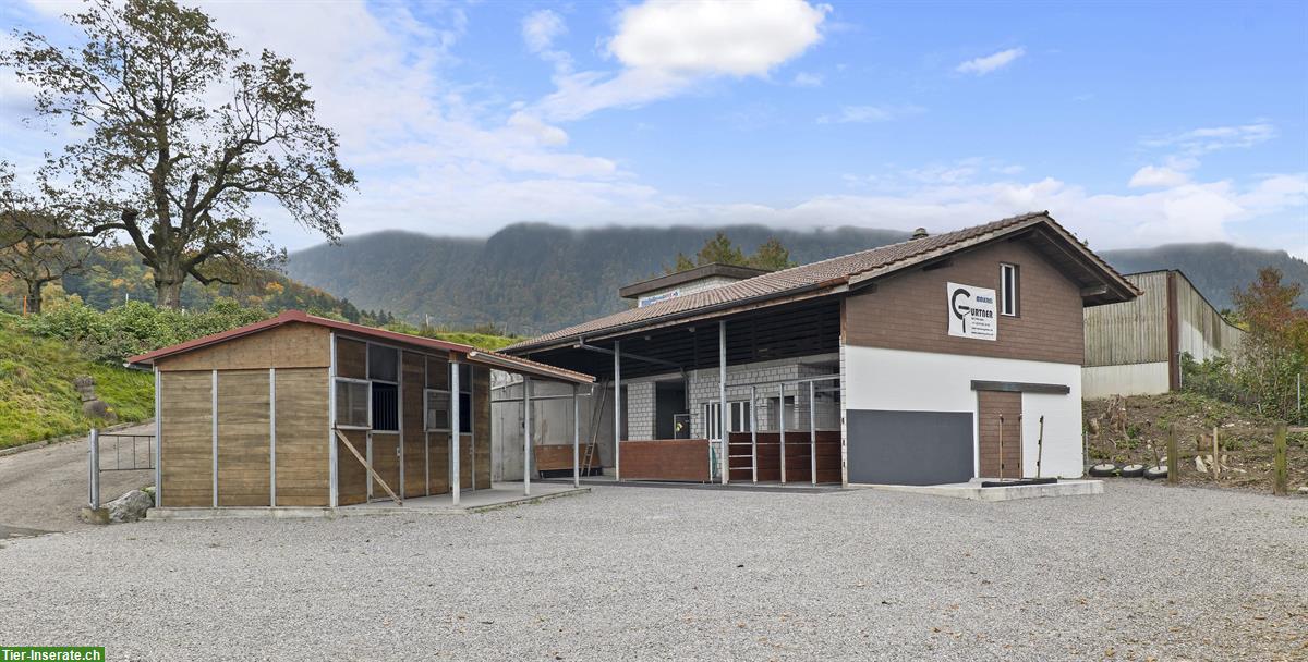 Charmante, kleine Reitanlage mit viel Privatsphäre zu vermieten