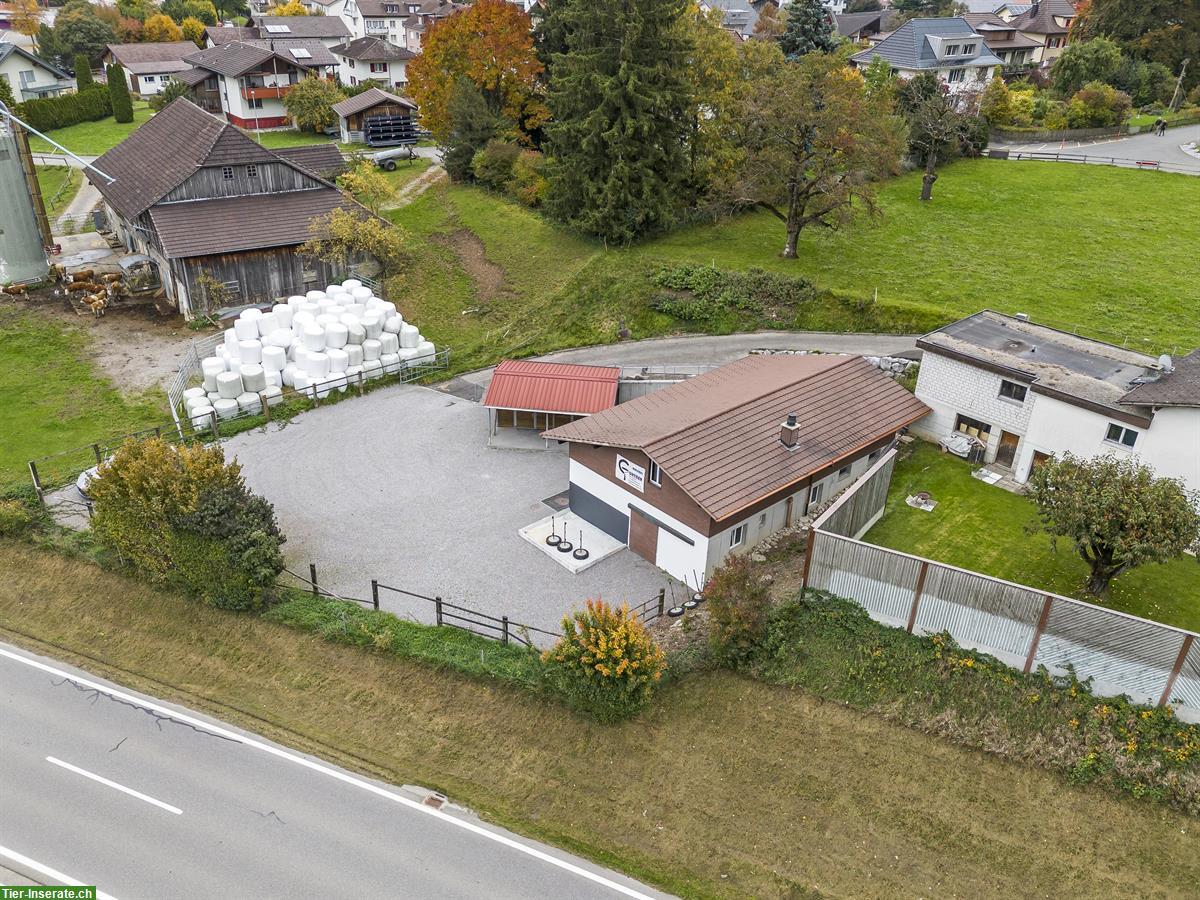 Bild 10: Charmante, kleine Reitanlage mit viel Privatsphäre zu vermieten