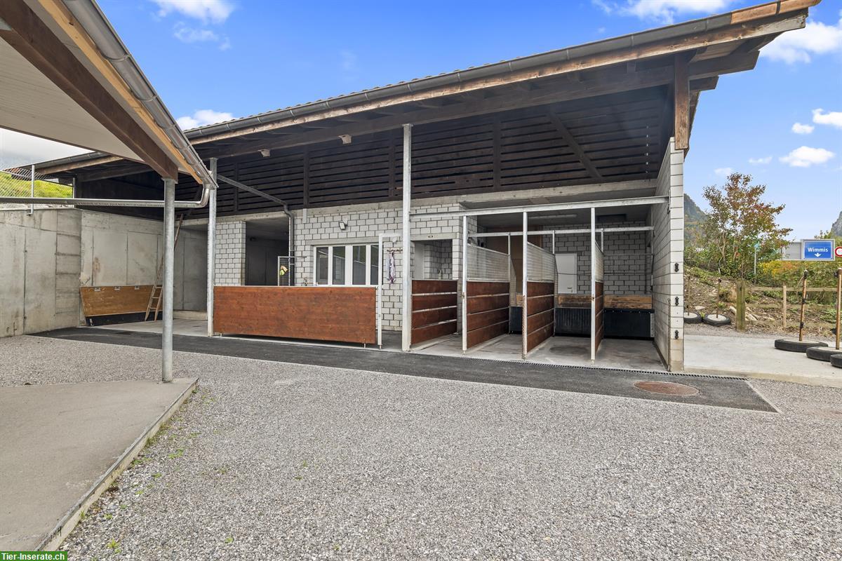 Bild 2: Charmante, kleine Reitanlage mit viel Privatsphäre zu vermieten