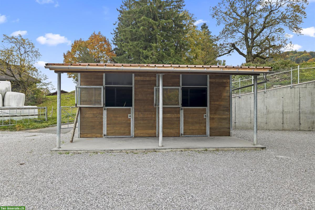 Bild 3: Charmante, kleine Reitanlage mit viel Privatsphäre zu vermieten