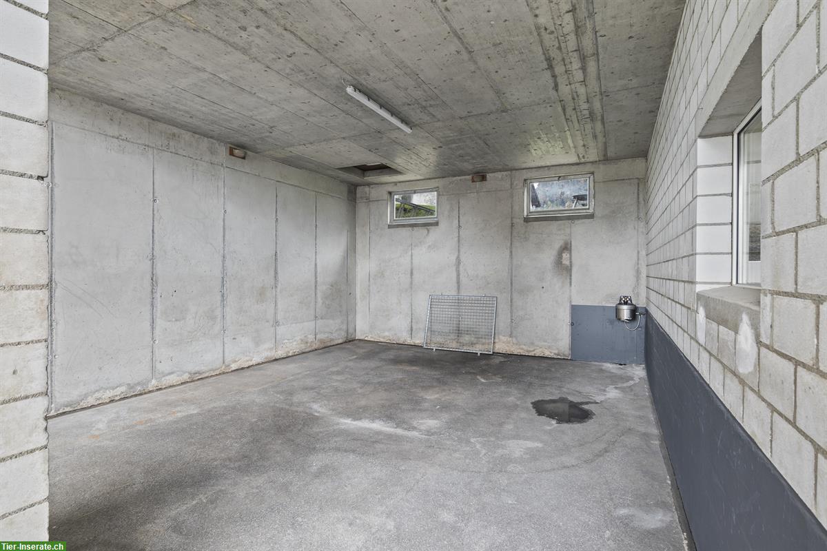 Bild 4: Charmante, kleine Reitanlage mit viel Privatsphäre zu vermieten