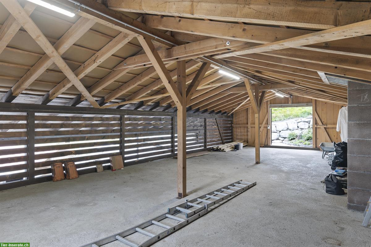 Bild 6: Charmante, kleine Reitanlage mit viel Privatsphäre zu vermieten