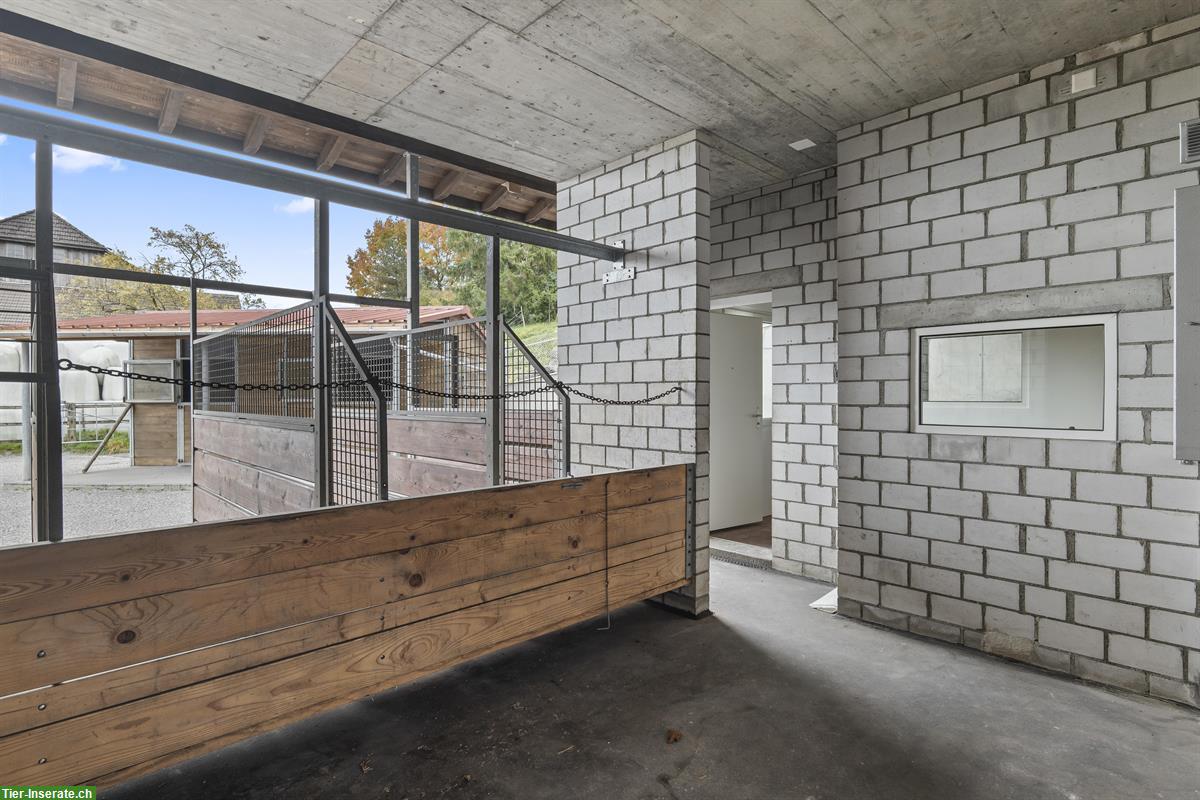 Bild 7: Charmante, kleine Reitanlage mit viel Privatsphäre zu vermieten