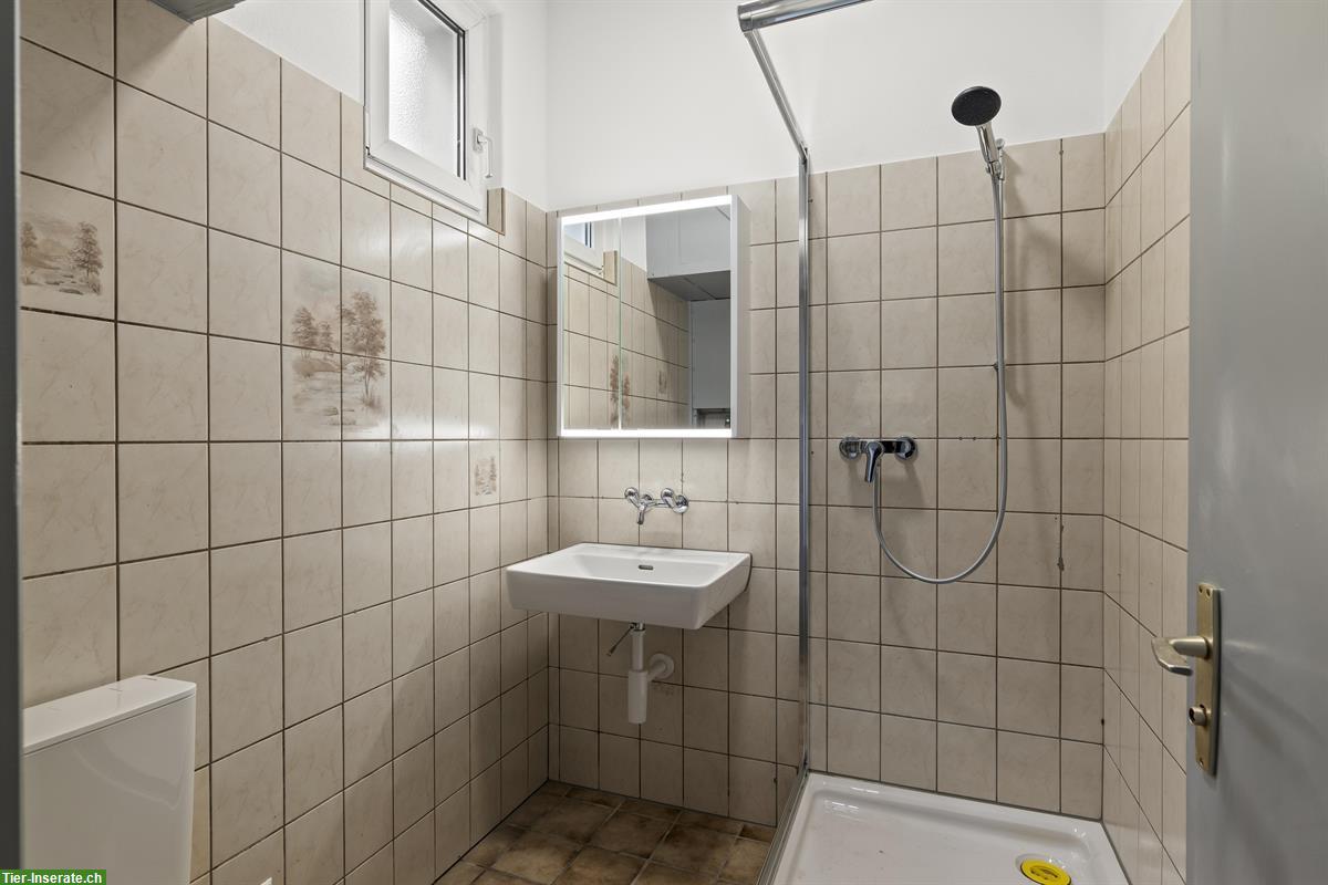 Bild 8: Charmante, kleine Reitanlage mit viel Privatsphäre zu vermieten