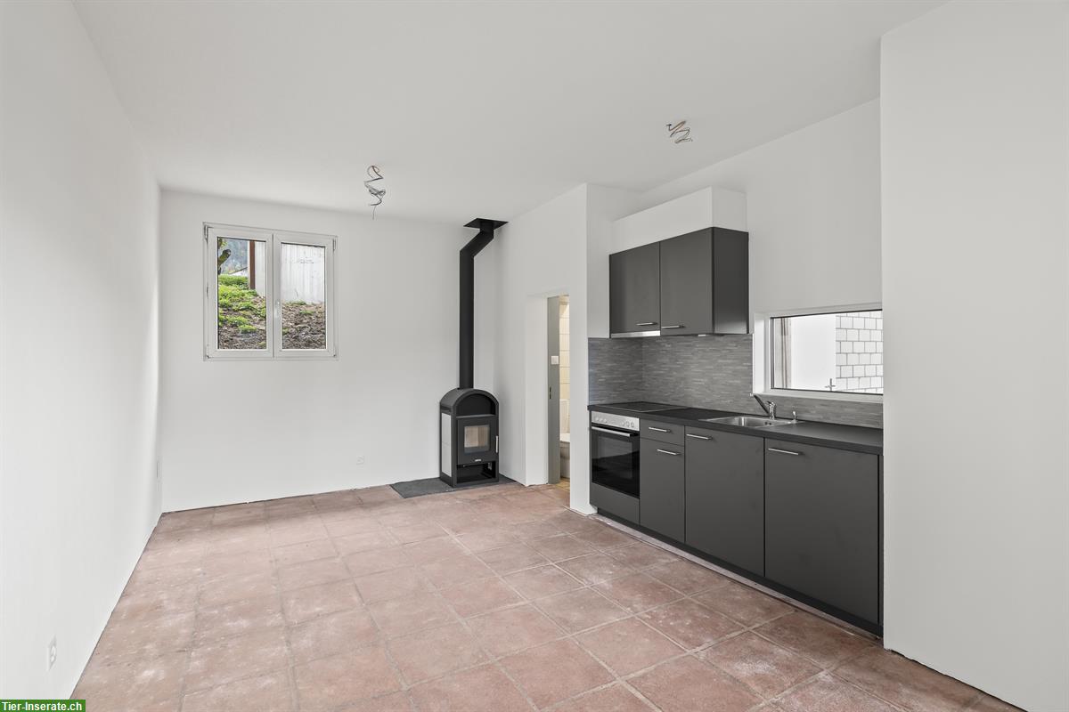 Bild 9: Charmante, kleine Reitanlage mit viel Privatsphäre zu vermieten