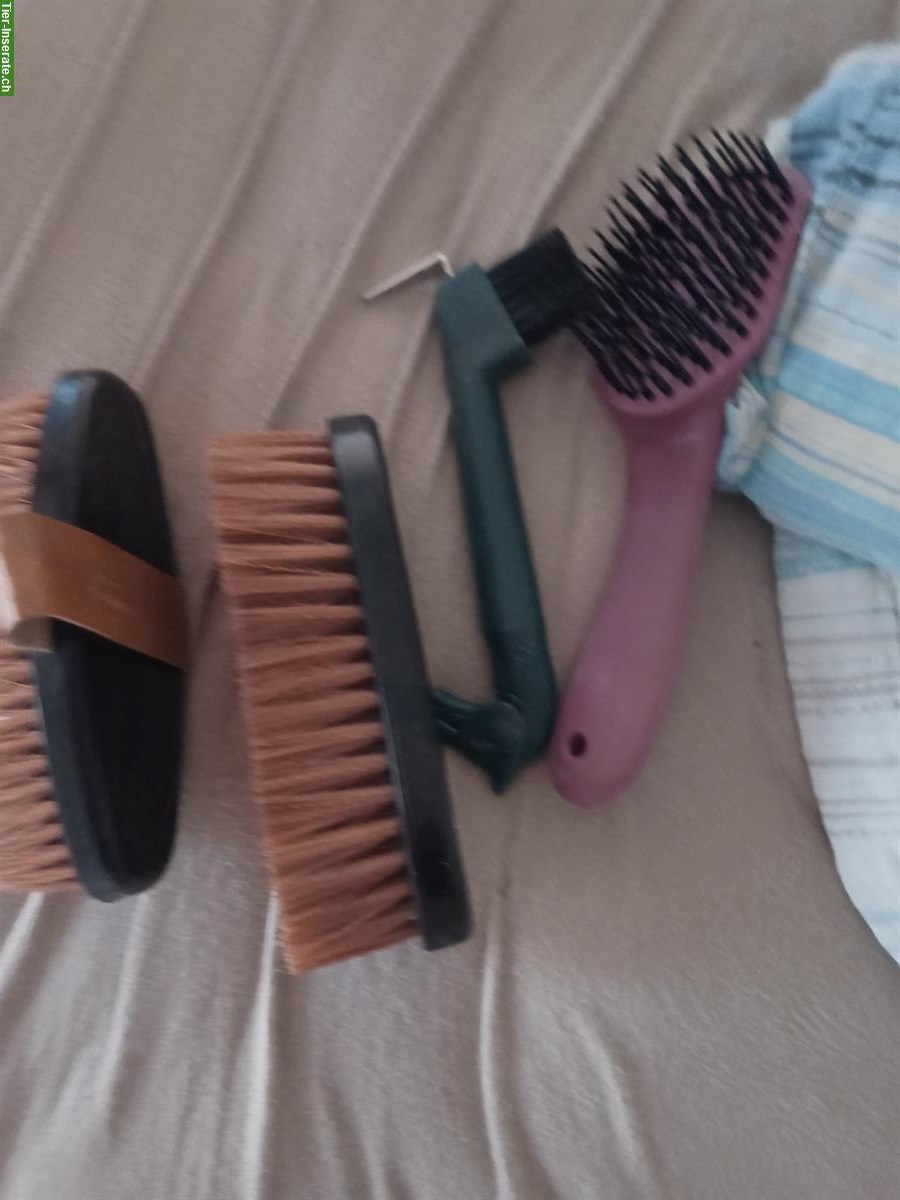 Pferde Putzzeug zu verkaufen