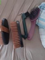 Pferde Putzzeug zu verkaufen