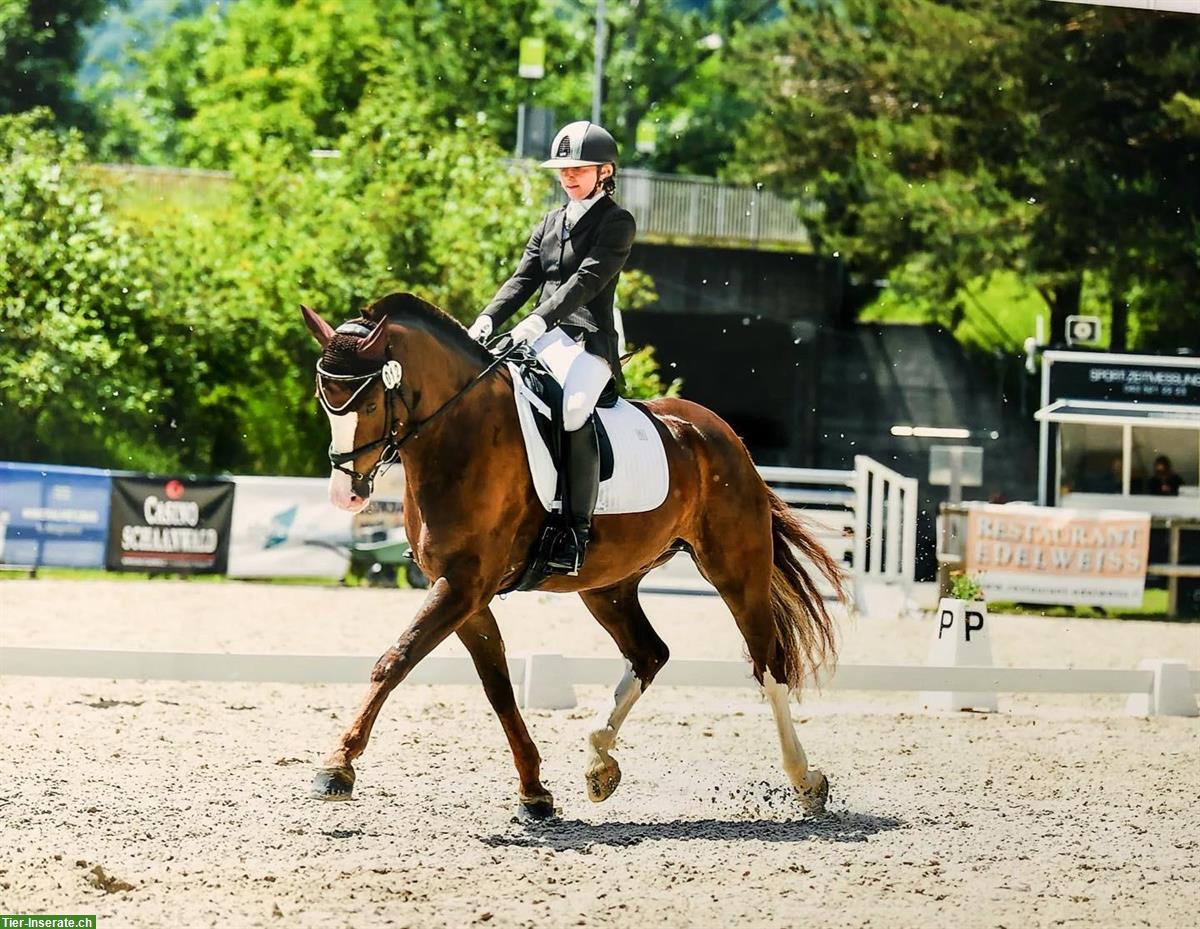 Bild 2: Reitunterricht & Kurse: Dressur, Springen, Vielseitigkeit, Freizeit