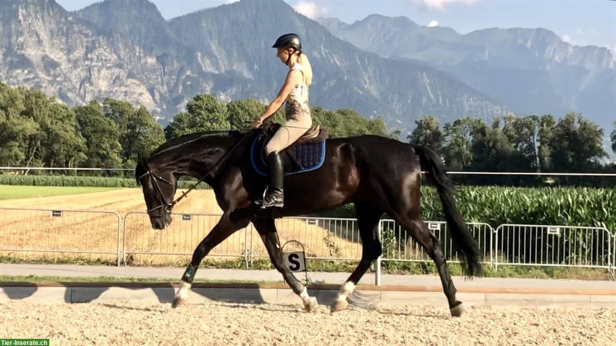 Bild 4: Reitunterricht & Kurse: Dressur, Springen, Vielseitigkeit, Freizeit