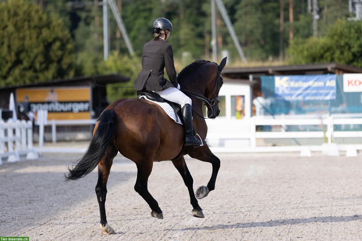 Bild 5: Reitunterricht & Kurse: Dressur, Springen, Vielseitigkeit, Freizeit