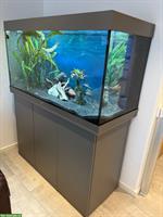 Juwel Aquarium Rio 350 mit Unterschrank und Zubehör