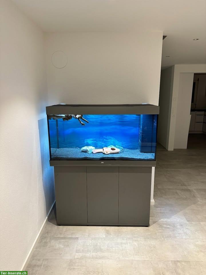 Bild 2: Juwel Aquarium Rio 350 mit Unterschrank und Zubehör