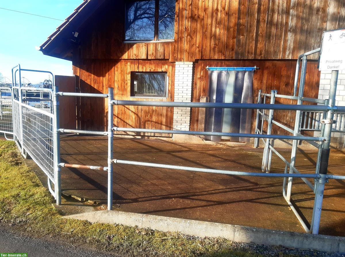 Freie Auslaufbox in Pferdepension Ruswil LU