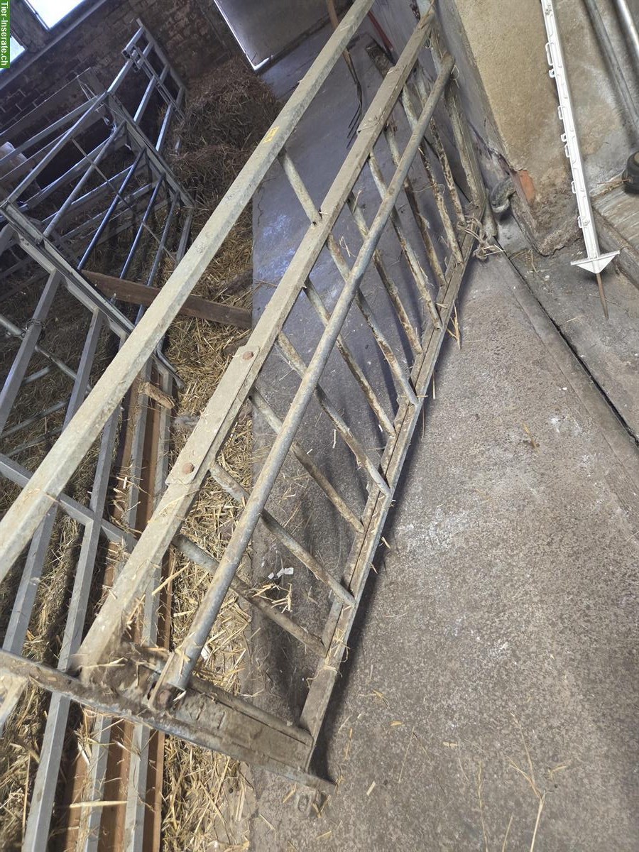 Lämmerschlupf Gatter zu verkaufen