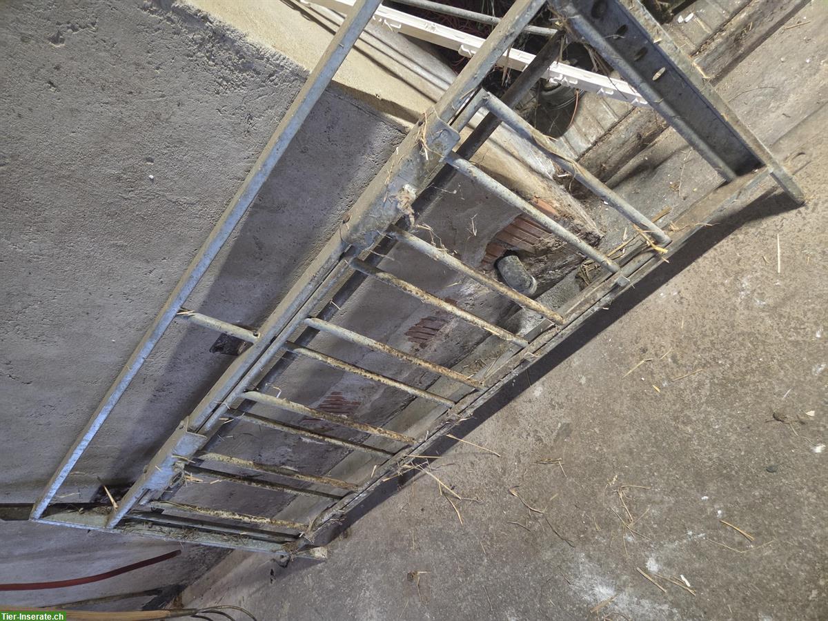 Bild 2: Lämmerschlupf Gatter zu verkaufen