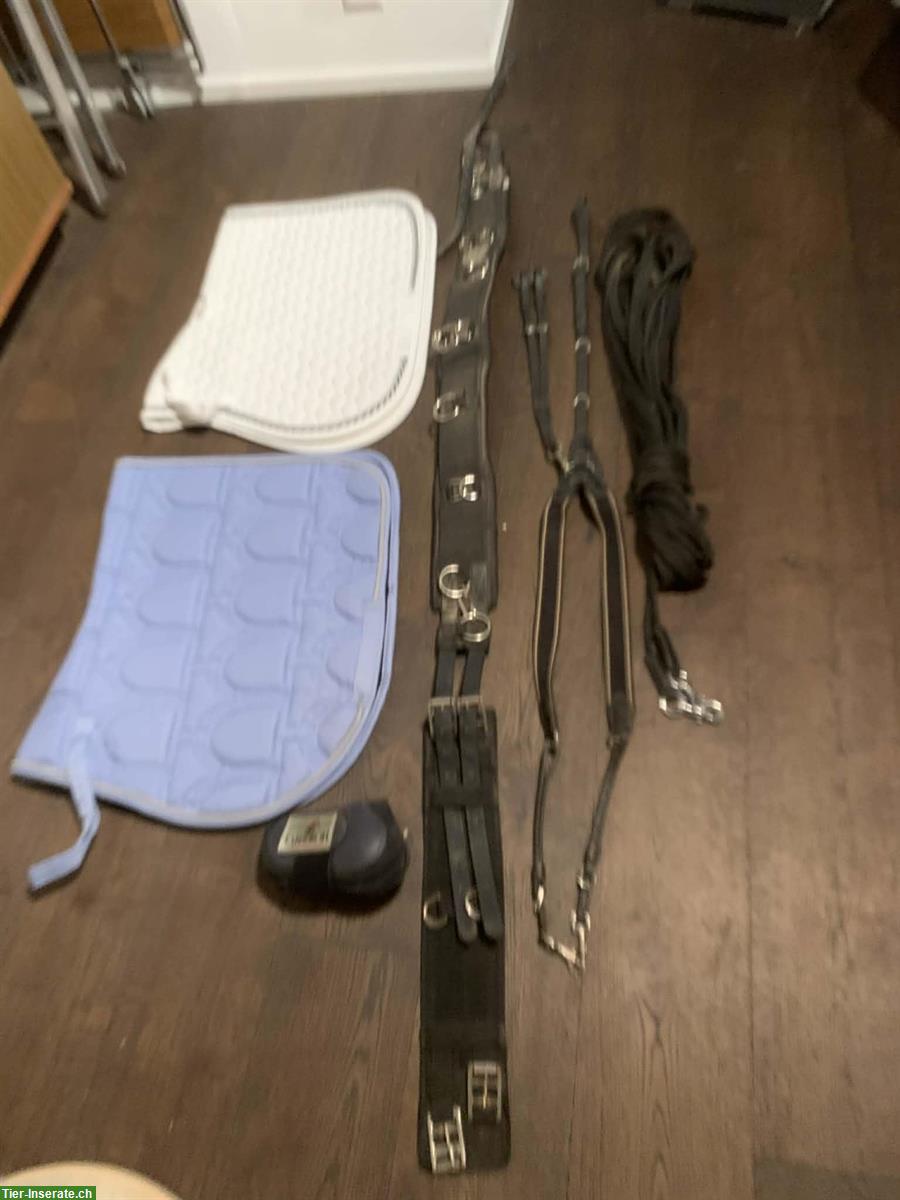 Pferdezubehör/Reitzubehör Gr. Warmblut zu verkaufen