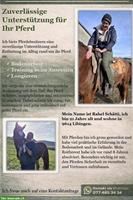 Suchst du Unterstützung im Altag mit Pferd, dann melde dich