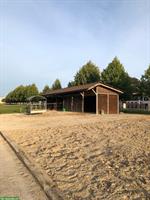 Freier Pensionsplatz in Offenstall in der Agglomeration von Bern