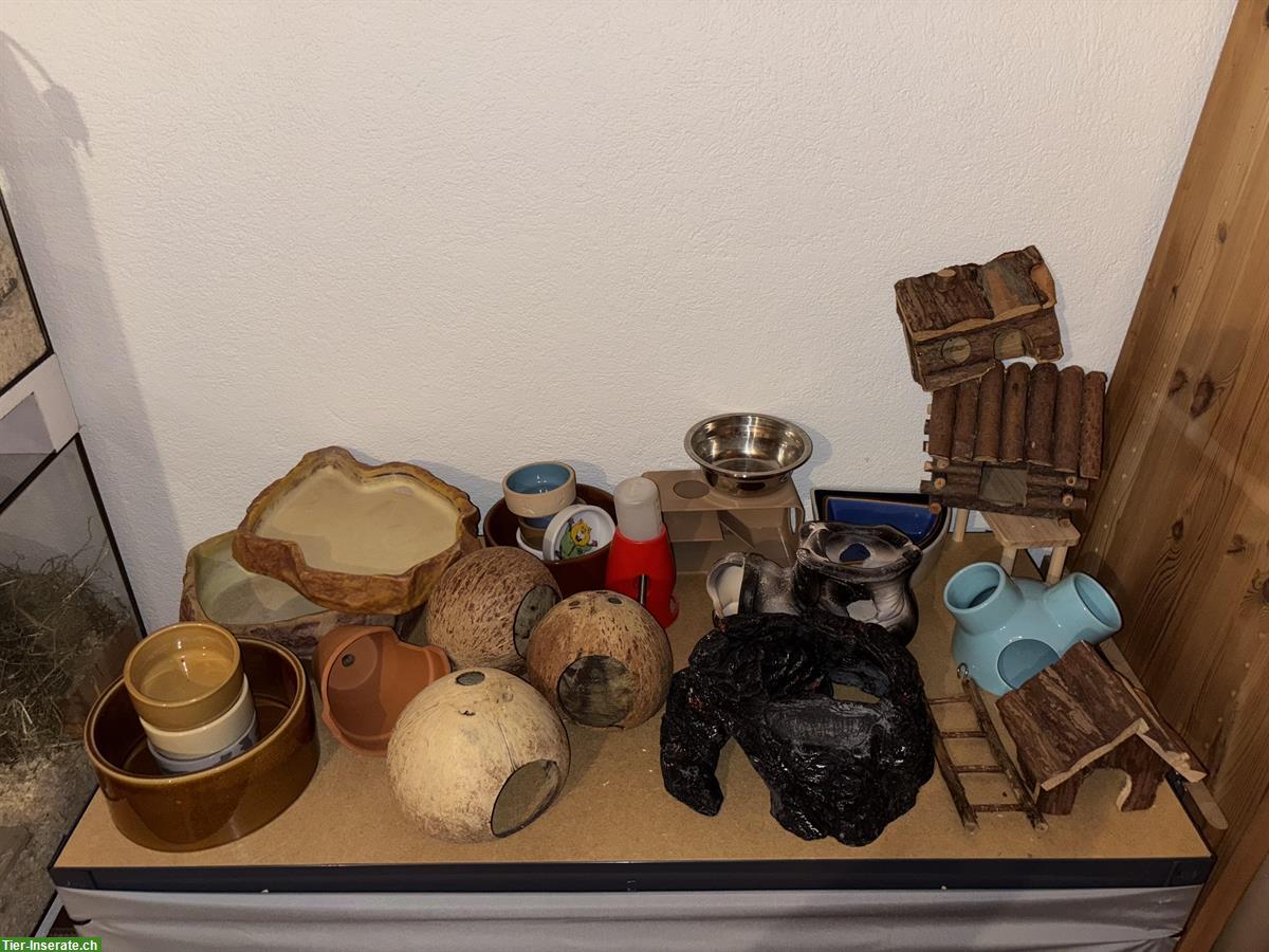 Hamster Zubehör zu verkaufen