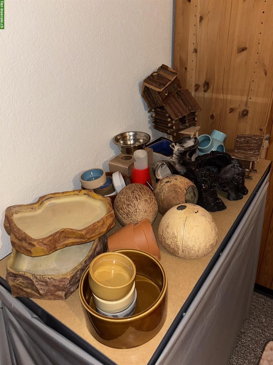 Bild 10: Hamster Zubehör zu verkaufen