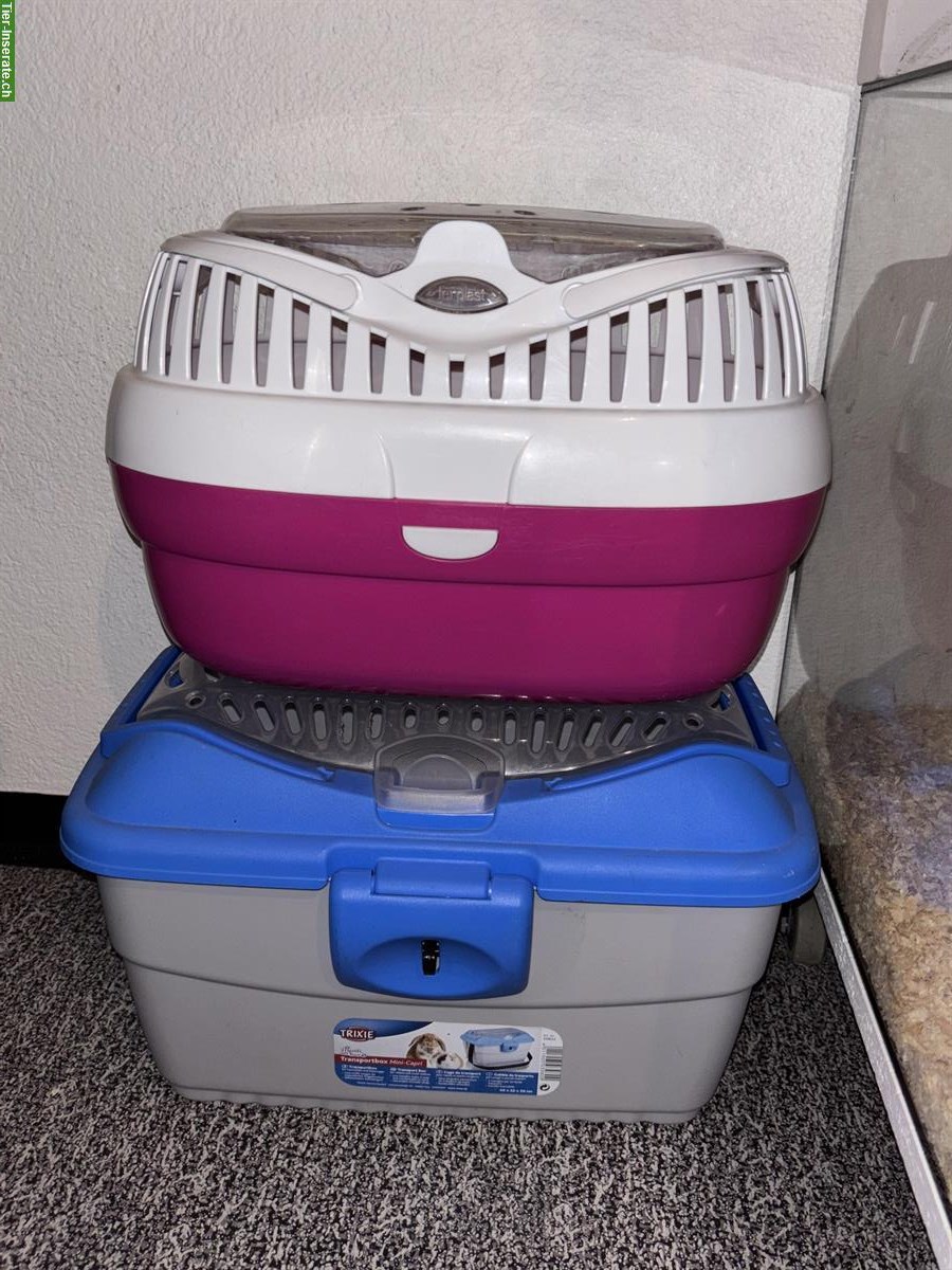 Bild 3: Hamster Zubehör zu verkaufen