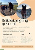 Suche eine Reitbeteiligung für meine 3 Pferde, Baselland