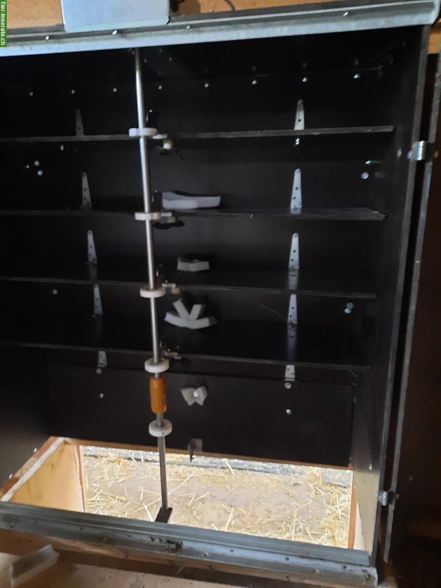 Klappomat Futterautomat mit Zeitschaltuhr, 5x2 Fächer