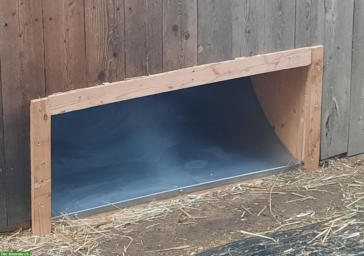 Bild 2: Klappomat Futterautomat mit Zeitschaltuhr, 5x2 Fächer