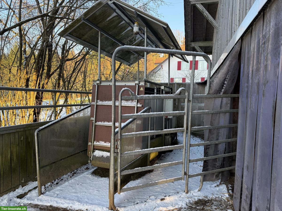 HorseGym Pferdelaufband Occasion mit Dach zu verkaufen