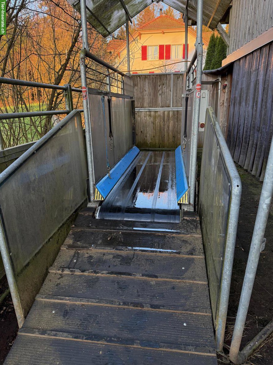 Bild 2: HorseGym Pferdelaufband Occasion mit Dach zu verkaufen