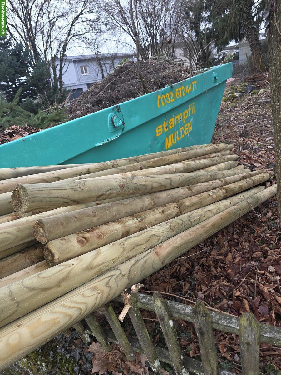 Neue Holzpfähle zu verkaufen