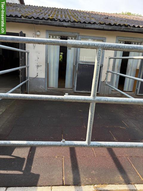 Bild 3: Helle Auslaufboxe in Romanshorn TG zu vermieten