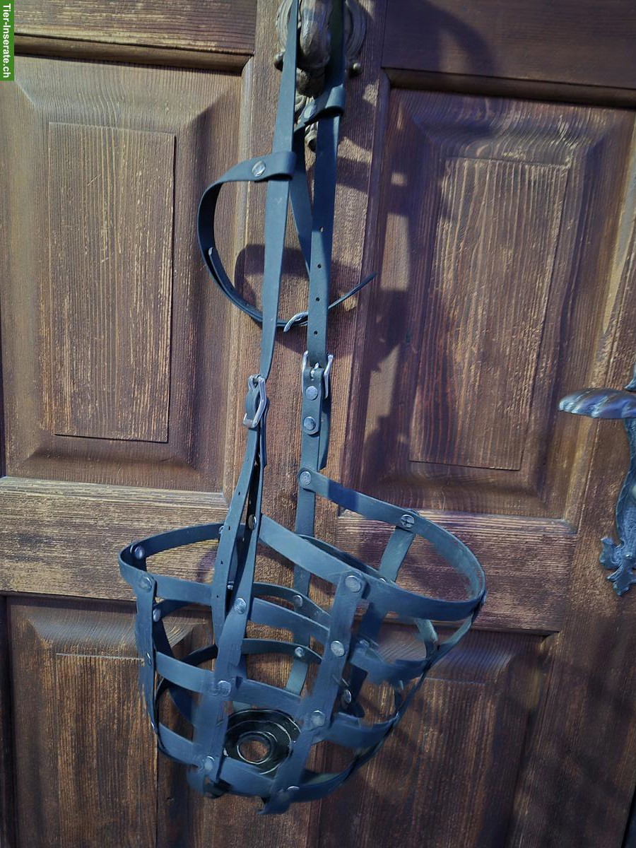 Fressbremse von Heavy Horse zu verkaufen