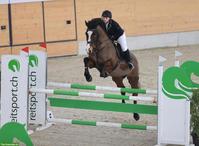 Suche Reitbeteiligung (Reiter sucht Pferd), Willisau LU