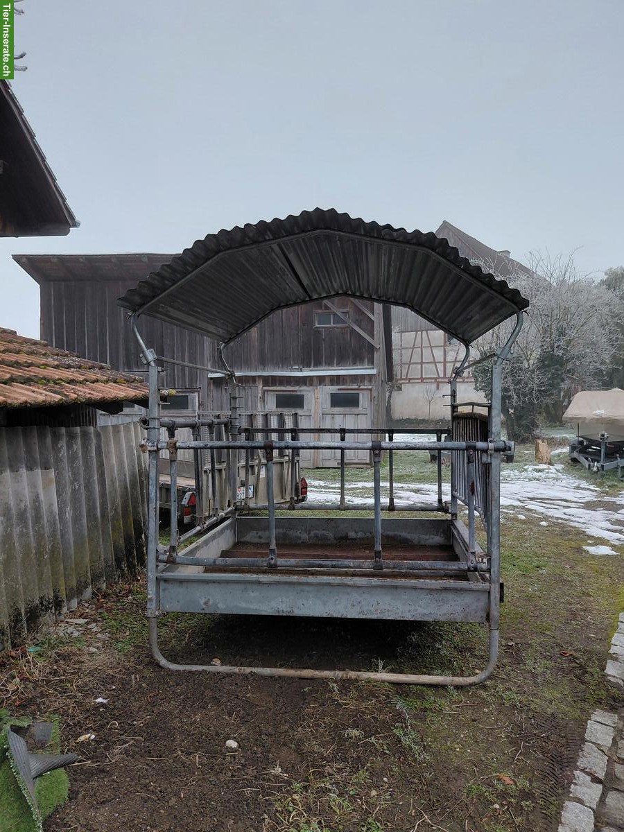 Futterraufe für Pferde und Rinder zu verkaufen